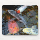 "Kung Fu Koi Fish" Mousepad