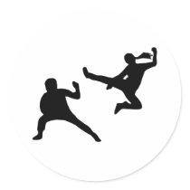 Kung Fu stickers