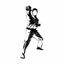 Kung Fu t-shirts by timlori Kung Fu t-shirts