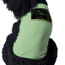 Kunga Mountain Gorilla Collection pet clothing