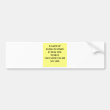 KUNGFU.jpg Bumper Stickers