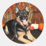 Kuno - German Shepherd - Photo-15 Sticker