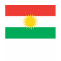 Kurdistan Flag T-shirt