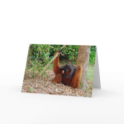 Kusasi, Orangutan King Card by Rebecca_Reeder
