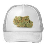 KUSH MESH HAT