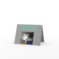 KuteKittee cards