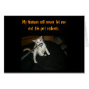 KuteKittee cards