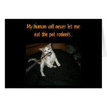 KuteKittee cards