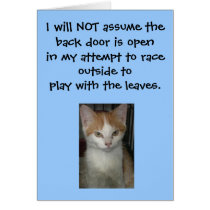 KuteKittee cards