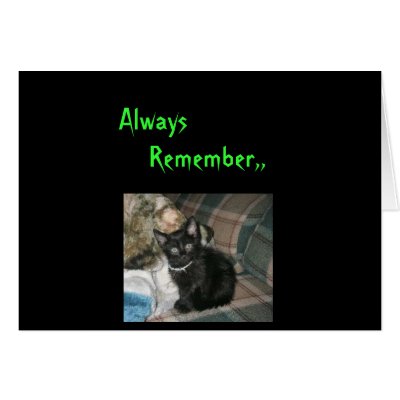 KuteKittee Greeting Cards by kutekittee