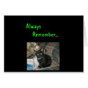KuteKittee cards by kutekittee KuteKittee cards