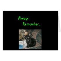 KuteKittee cards