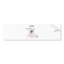 Kuvasz History Design Bumper Sticker