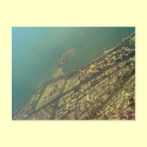 Kuwait city, Green Island, Bird eye view postcards
