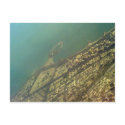 Kuwait city, Green Island, Bird eye view postcards by Rainmountain Kuwait city, Green Island, Bird eye view postcards