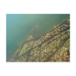 Kuwait city, Green Island, Bird eye view postcards