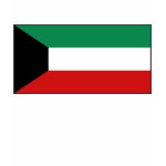 Kuwait Flag Map Spaghetti Top