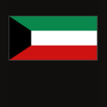 Kuwait Flag Map Spaghetti Top