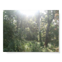 Kwoi Forest posters by howejk Kwoi Forest posters