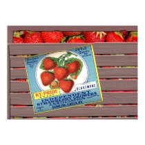 KY Pride Strawberries posters by ElainePlesser KY Pride Strawberries posters