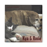 Kya & Rosie Magnet