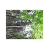 Kyoto Japanese Forest canvas prints