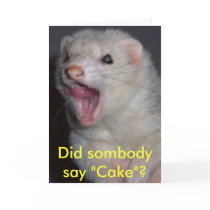 Kyra the Ferret cards