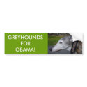 L1000290, GREYHOUNDS FOR OBAMA! bumper stickers by robinoreich L1000290, GREYHOUNDS FOR OBAMA! bumper stickers