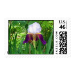 l_652f87835ed882eb588775f211adde51 postage stamp