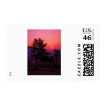 l_82ababc6e65ba6b32e37e64d69a96d3c postage stamps