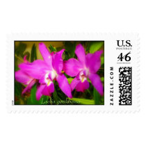 L gouldiana halo,  postage