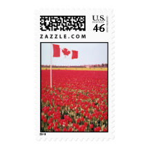 La bandera canadiense blanca en el campo del bulbo sellos