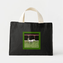 La bolsa de asas del granero del caballo blanco y 
