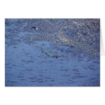 La Brea Tarpits Ponds Greeting Card