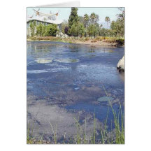 La Brea Tarpits Ponds Museums Card