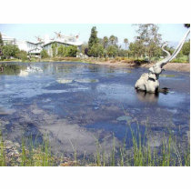 La Brea Tarpits Ponds Museums photo sculptures
