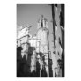 La Catedral Gargoyles Photo (Barcelona, Spain)