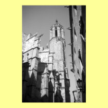 La Catedral Gargoyles Photo Poster Art Print posters