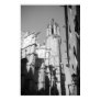 La Catedral Gargoyles Photo Poster Art Print