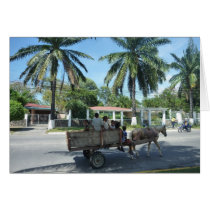 la ceiba cart greeting cards