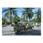 la ceiba cart cards