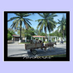 la ceiba transport postcards