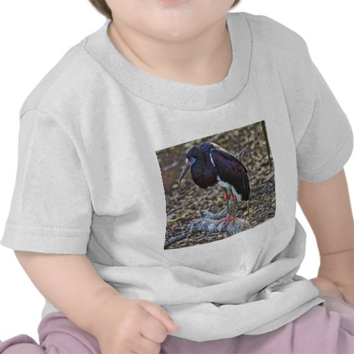 La cigüeña de Abdim Camiseta