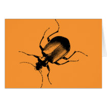 La Cucaracha cards by trash_ La Cucaracha cards