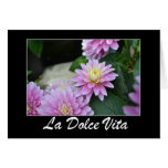 La Dolce Vita Dahlias Card cards