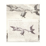 La Fontaine Fable: The Tortoise and Two Ducks canvas prints
