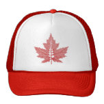 La hoja de arce de Canadá vetea el gorra
