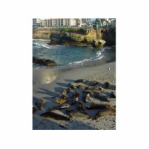 La Jolla Cove Beach Waves Sand Seals photo sculptures