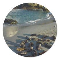 La Jolla Cove Beach Waves Sand Seals stickers