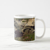 La Jolla Cove Mugs